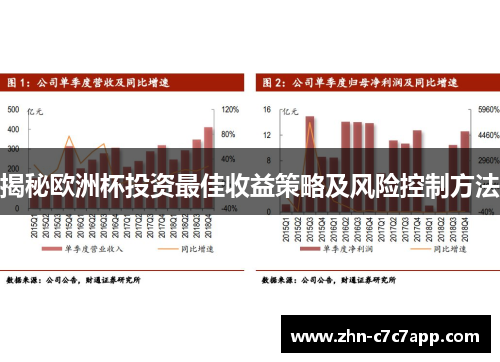 揭秘欧洲杯投资最佳收益策略及风险控制方法