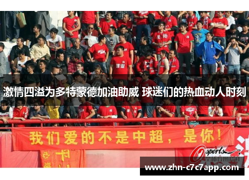 激情四溢为多特蒙德加油助威 球迷们的热血动人时刻