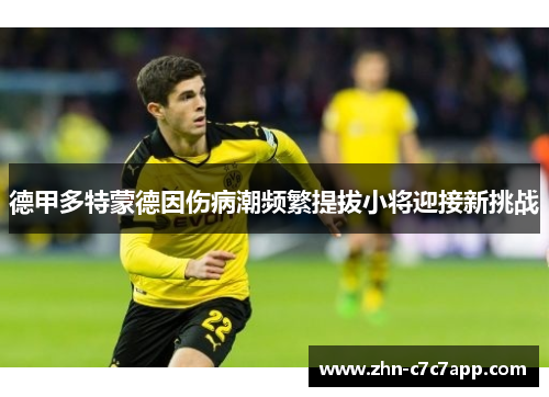 德甲多特蒙德因伤病潮频繁提拔小将迎接新挑战