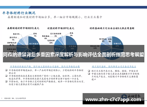 阿森纳遭禁背后多重因素深度解析与影响评估全面剖析指南思考展望 阿森纳遭禁背后多重因素深度解析与影响评估全面剖析指南思考展望