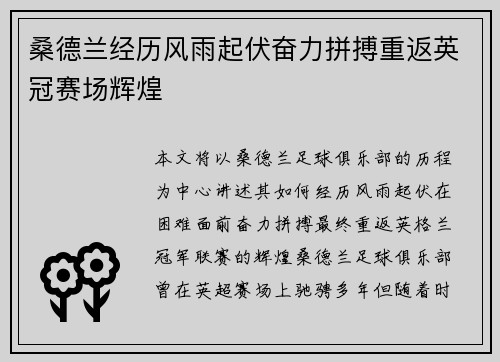桑德兰经历风雨起伏奋力拼搏重返英冠赛场辉煌