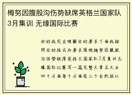 梅努因腹股沟伤势缺席英格兰国家队3月集训 无缘国际比赛
